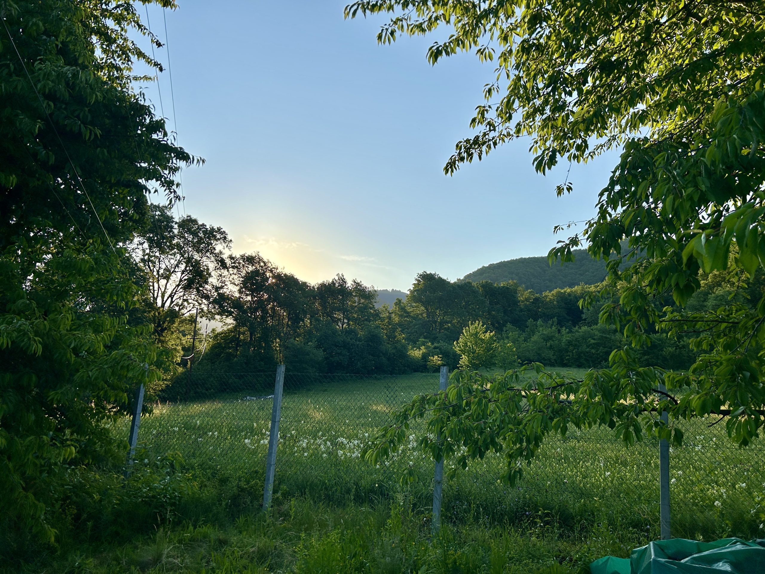 9bdaa222512884dbfa7832bcc93773ba67520646