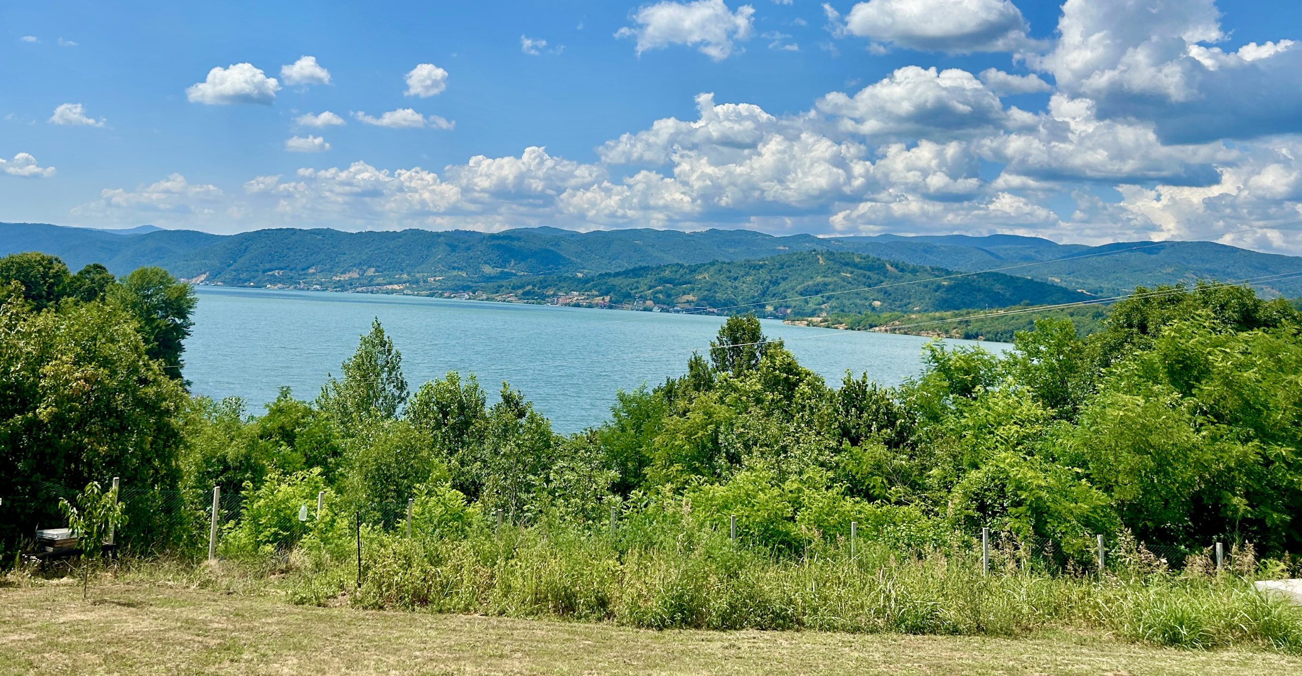 9e139eb9adba3a119aa39c5abe287032ed1cef38