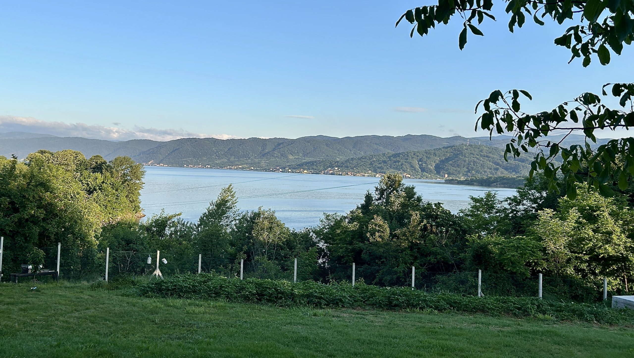 a214a5123039d45ca2370cb6319d2196f80e4dea