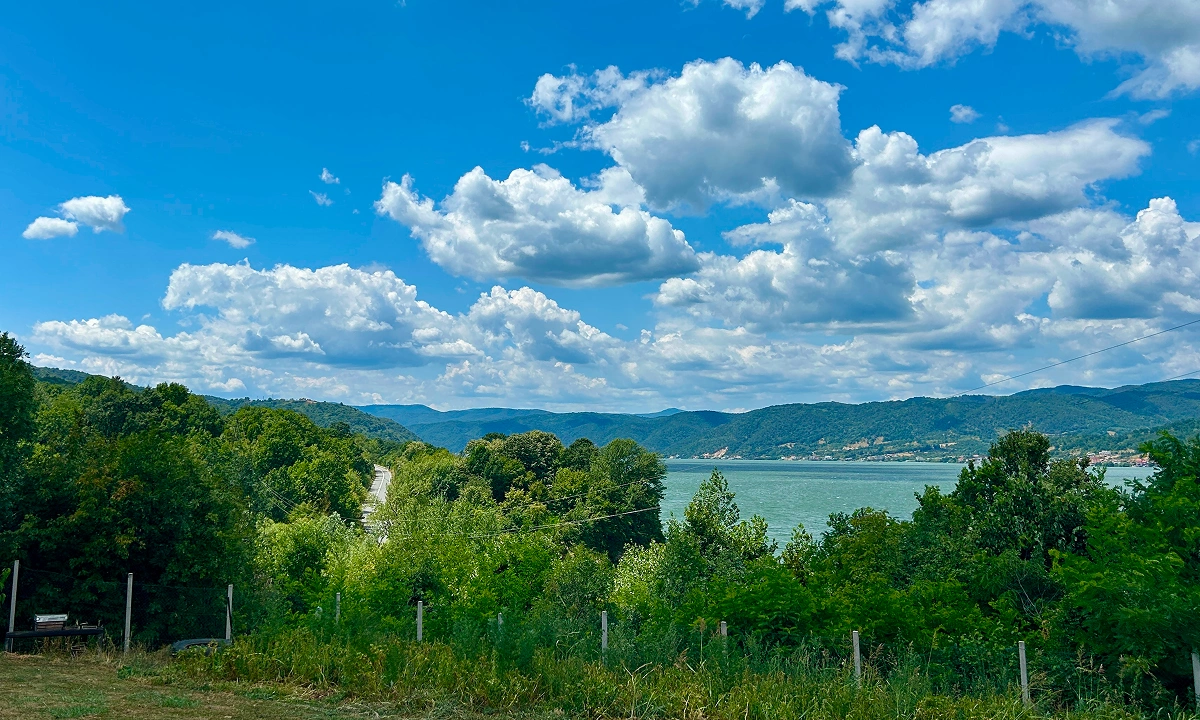 gal-sur-01
