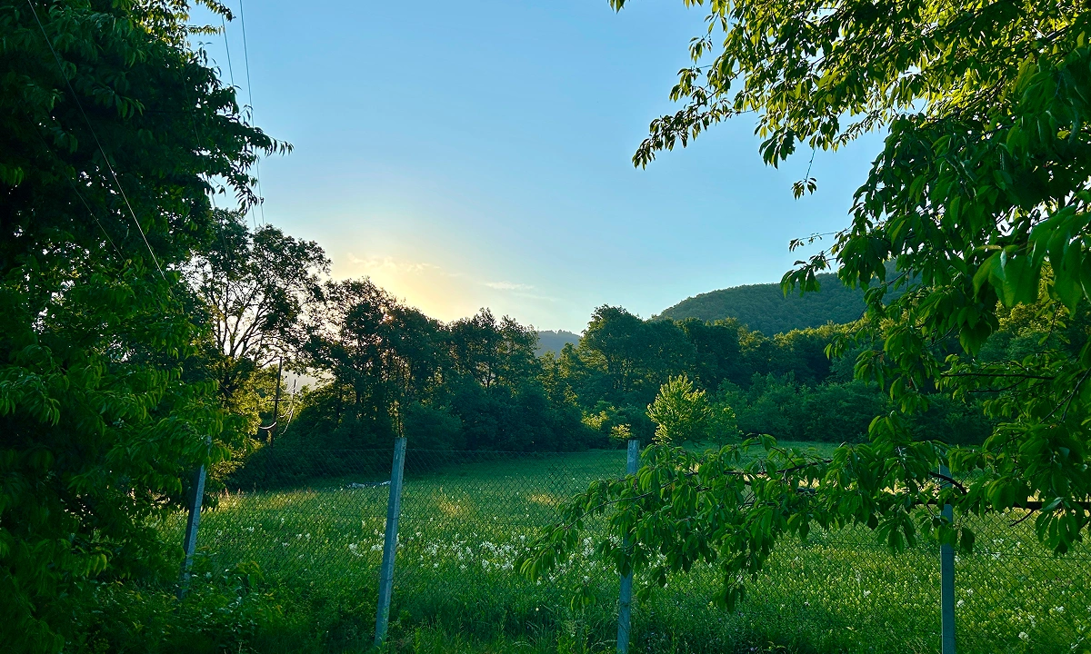 gal-sur-03