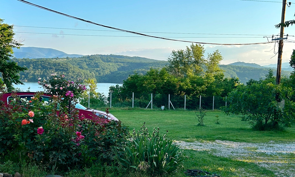 gal-sur-05