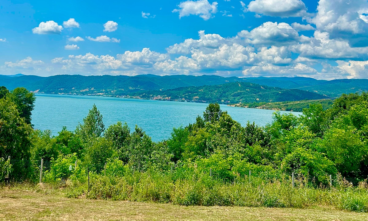gal-sur-08
