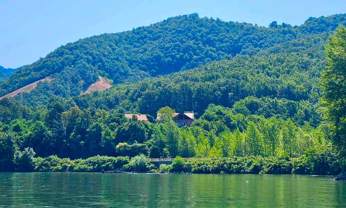 gal-sur-09